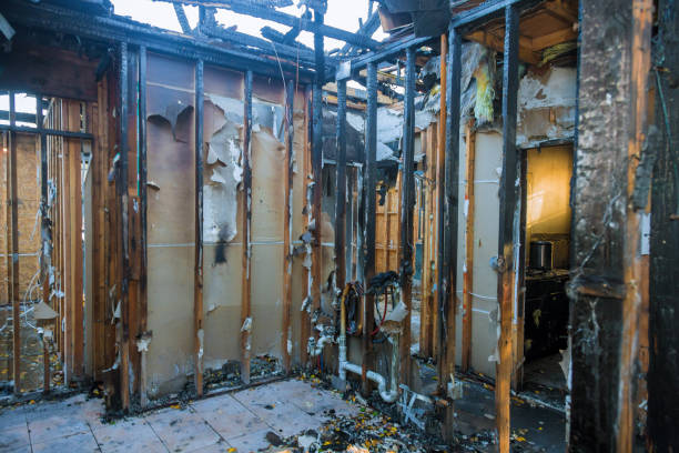 Professional Fire Damage Assessment technician working in Moose Wilson Road, WY